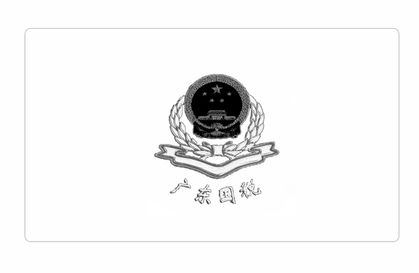 广东国税灰色.jpg